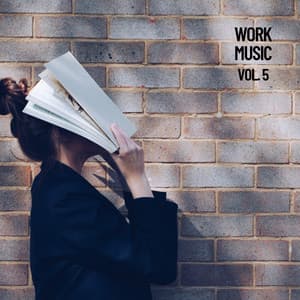 Work Music, Vol .5 - Exam Study Classical Music Orchestra