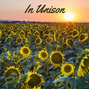 In Unison - Nature Sounds for Relaxation and Sleep