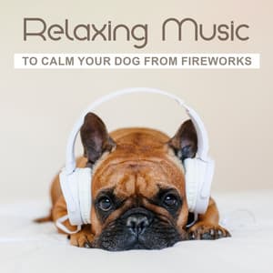 Relaxing Music to Calm Your Dog from Fireworks : Instant Anxiety & Stress Relief for Dogs - Pet Music Academy