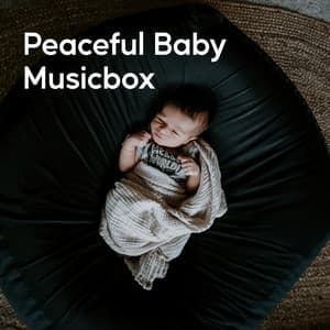 Peaceful Baby Musicbox - White Noise Baby Sleep