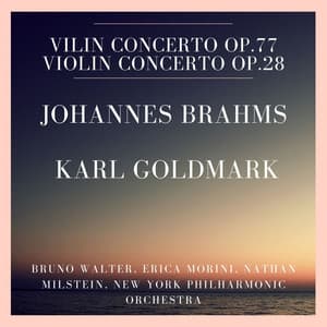 Johannes Brahms : Vilin Concerto Op.77 - Karl Goldmark : Violin Concerto Op.28 - Bruno Walter