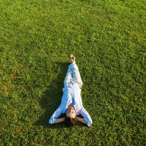 Peaceful Harmonies: Music for Relaxation - Reiki Chakra Consort