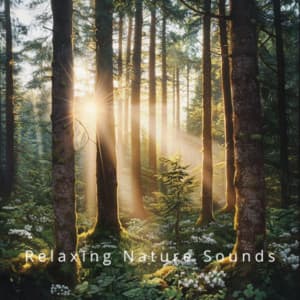 Calm Nature: Sounds of the Wild for Rest - Relaxing Nature Sounds