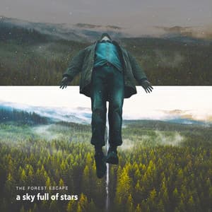 A Sky Full of Stars - The Forest Escape