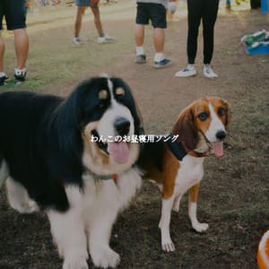 わんこのお昼寝用ソング - Musica di Sottofondo Jazz