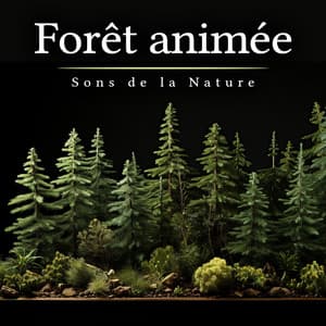 Forêt animée - Sons de la nature