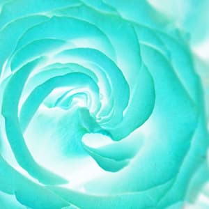 Ambiance for Home Chilling - Tranquilo Café Música