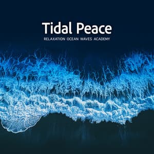 Tidal Peace - Relaxation Ocean Waves Academy