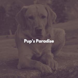 Pup's Paradise - Working from Home Playlist