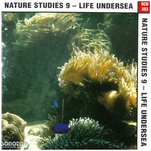 Nature Studies, Vol. 9: Life Undersea - Gregor F. Narholz
