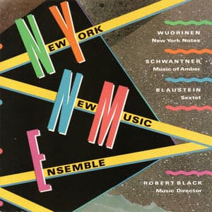 Works by Wuorinen, Schwantner and Blaustein - New York New Music Ensemble