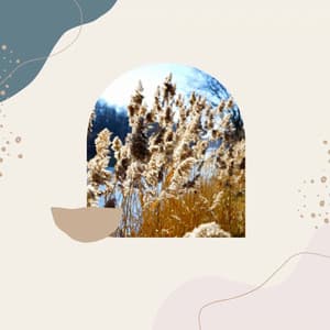 Jazz Trio - Ambiance for Jet Lag - Peaceful Autumn Instrumental Jazz