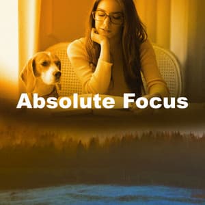 Absolute Focus - Office Music Experts