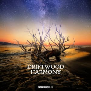 Driftwood Harmony - Forest Sounds FX
