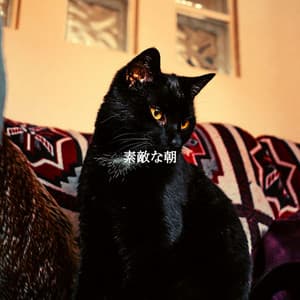 素敵な朝 - Coffee Lounge Jazz Chill Out