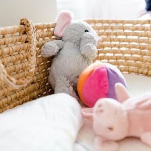 Enveloped by Celestial Hush - Arctic Comfort