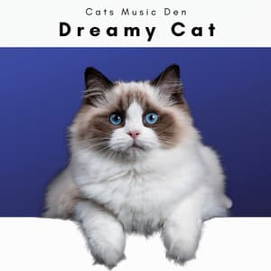 A Dreamy Cat - Cats Music Den
