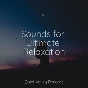 Sounds for Ultimate Relaxation - Meditative Music Guru