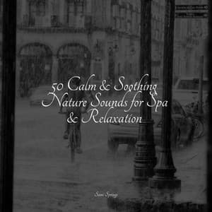 50 Calm & Soothing Nature Sounds for Spa & Relaxation - Rain Shower Spa
