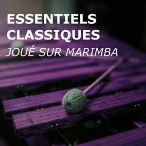 Essentiels Classiques - Marimba Guy