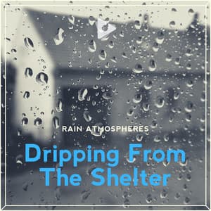 Dripping From The Shelter - Rain Sounds ASMR
