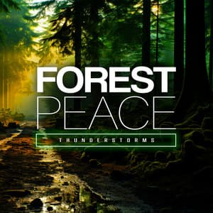 Forest Peace - Thunderstorms