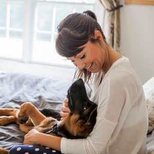 Pet Serenity: The Piano's Rainy Caresses - Sleepy Pets