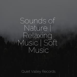 Sounds of Nature | Relaxing Music | Soft Music - Baby Relax Music Collection