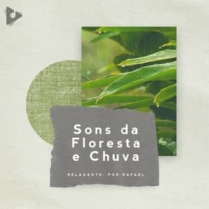 Sons da Floresta e Chuva - Relaxante: Por Rafael