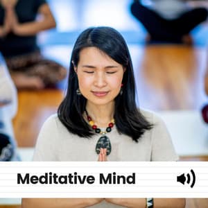 Meditative Mind - Binaural Systems