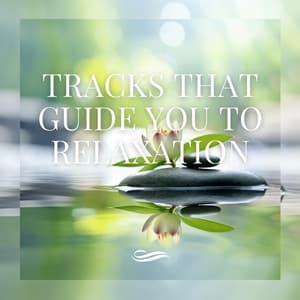 Tracks That Guide You to Relaxation - Re-Relaxation