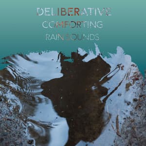 Deliberative Comforting Rain Sounds - The Sound Reserve