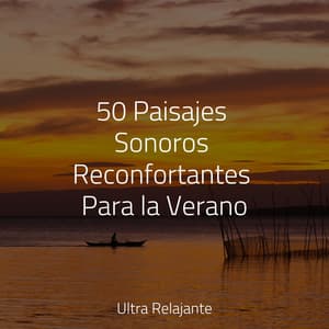 50 Paisajes Sonoros Reconfortantes Para la Verano - Musica Relajante Para Dormir