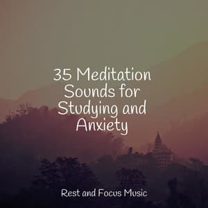 35 Meditation Sounds for Studying and Anxiety - Study Zone