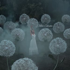 Celestial Wishkeepers - Mira Celestia