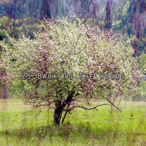 25 Back To The Woods - Nature Sounds - Sons de la nature