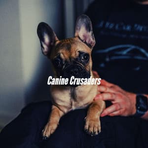 Canine Crusaders - Relax My Dog Music