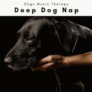1 Deep Dog Nap - Dogs Music Therapy
