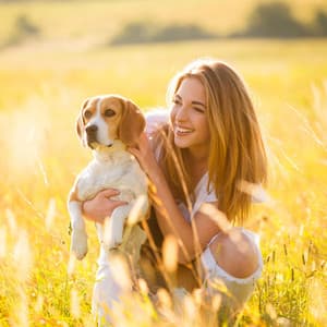 Rainy Piano Paws: Melodic Moments with Pets - ASMR Rain Sounds