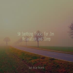 50 Soothing Tracks for Zen Relaxation and Sleep - Musica para Dormir Dream House