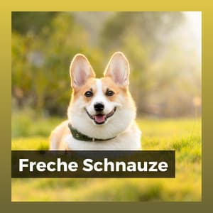 Freche Schnauze - Hundemusik