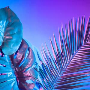 Ultimate Tropical Party Vibes - Dj Chilling del Mar