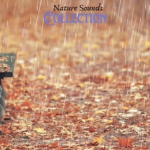 Drizzle Puddles - Nature Sounds Collection