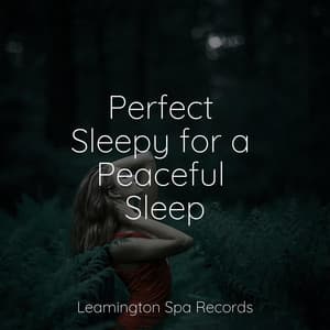 Perfect Sleepy for a Peaceful Sleep - Children's Music