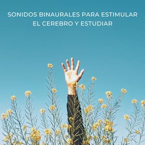 Sonidos Binaurales Para Estimular El Cerebro Y Estudiar - Latidos binaurales para estudiar
