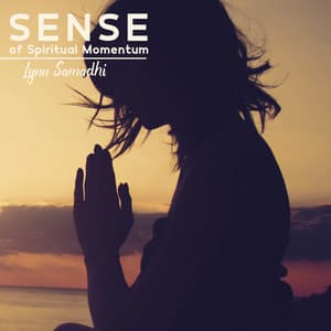 Sense of Spiritual Momentum - Lynn Samadhi