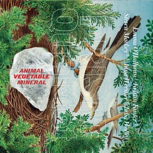 Animal, Vegetable, Mineral - Prism Quartet