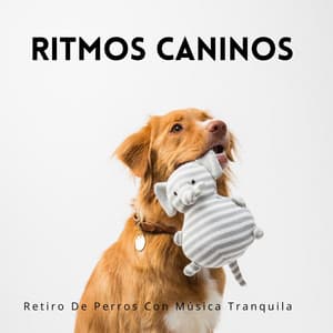 Ritmos Caninos: Retiro De Perros Con Música Tranquila - Tranquilidad Eterna