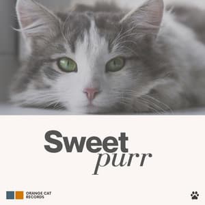 Sweet Purr - Music For Cats