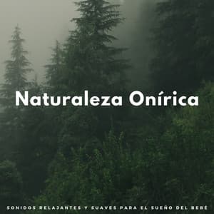 Naturaleza Onírica: Sonidos Relajantes Y Suaves Para El Sueño Del Bebé - Ambiente de naturaleza